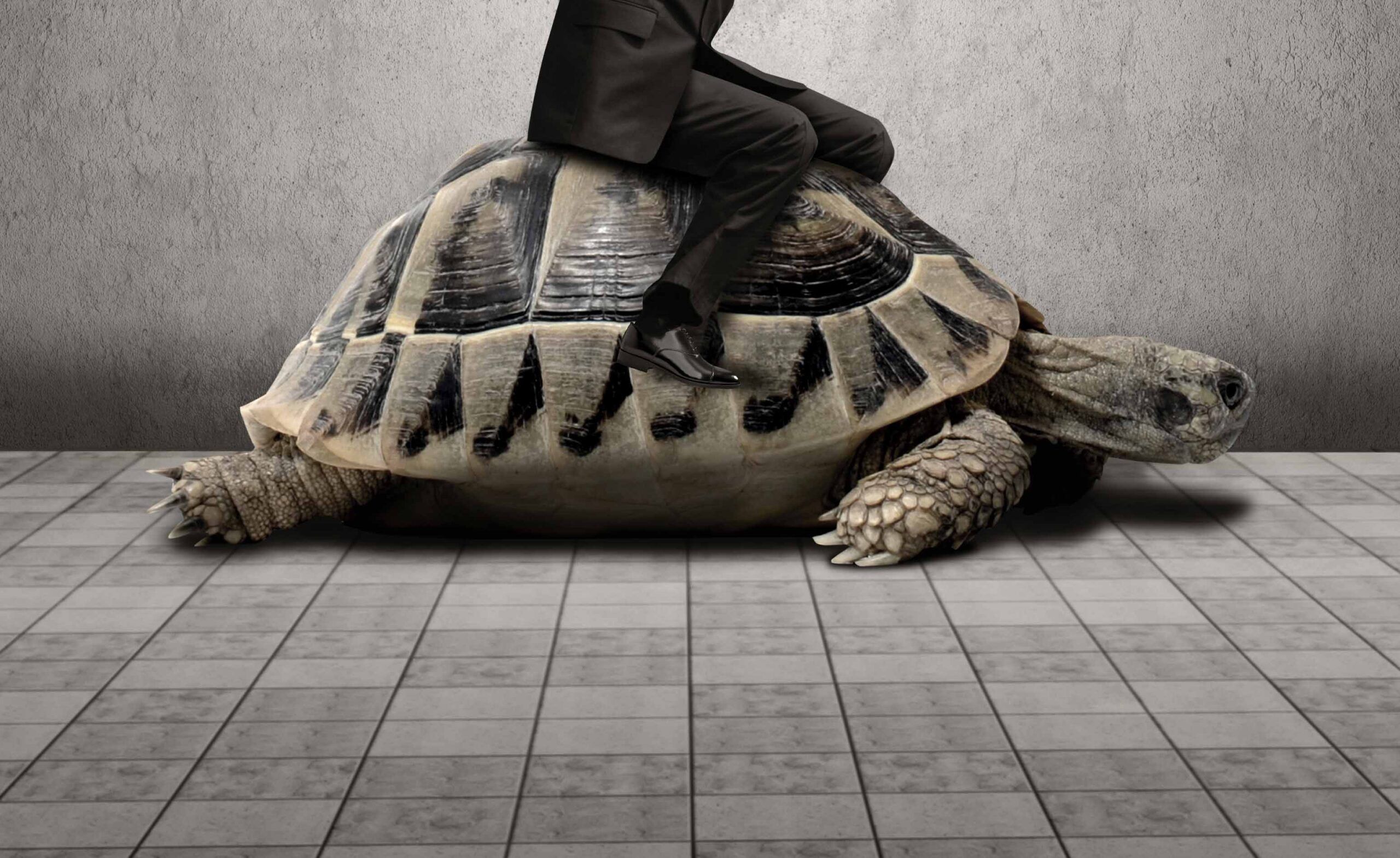 Businessman Sitting On Turtle